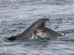 129 ILE DE MOLENE_000032